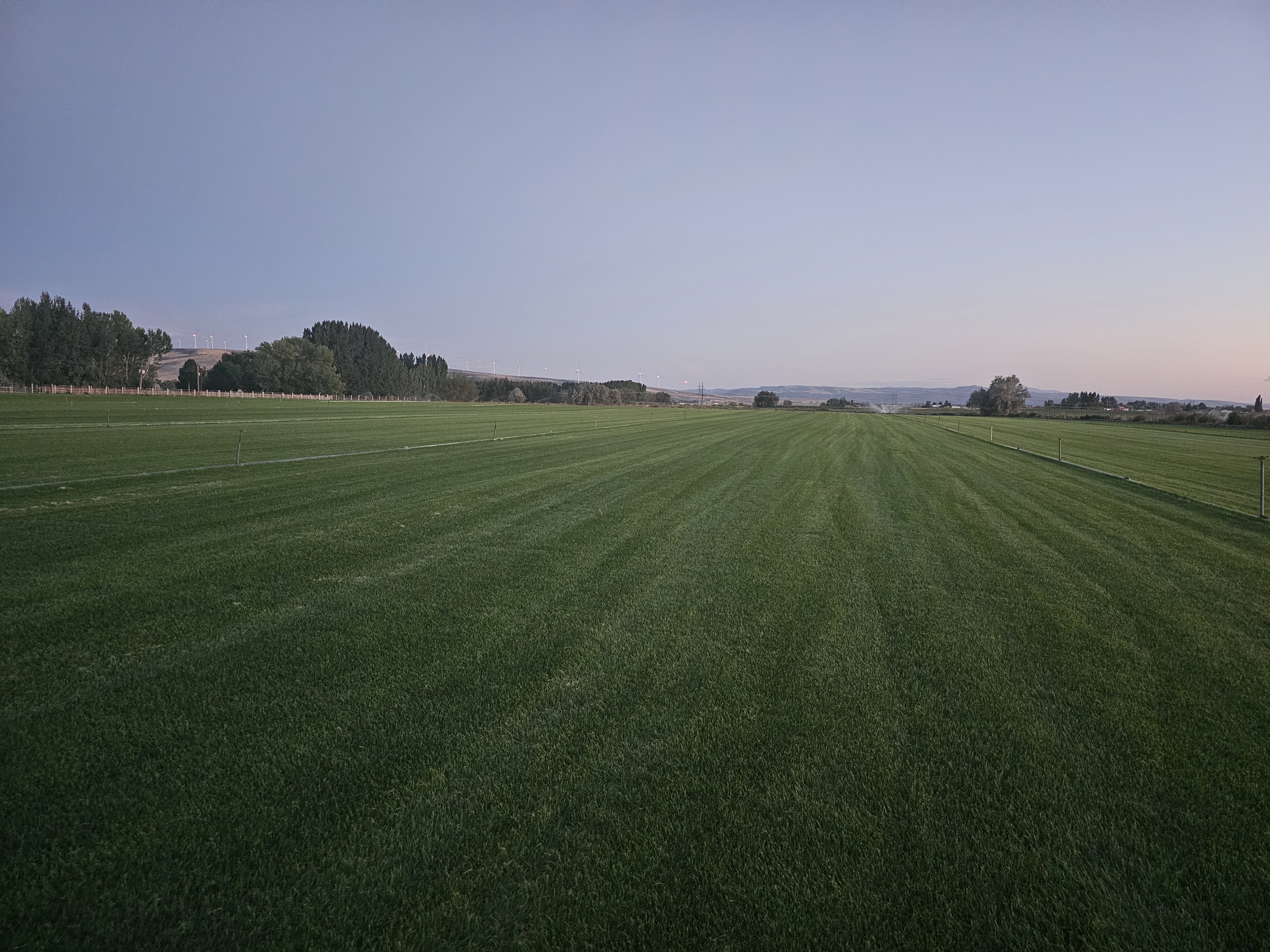 Wide open Kentucky Bluegrass field at the Shelley farm