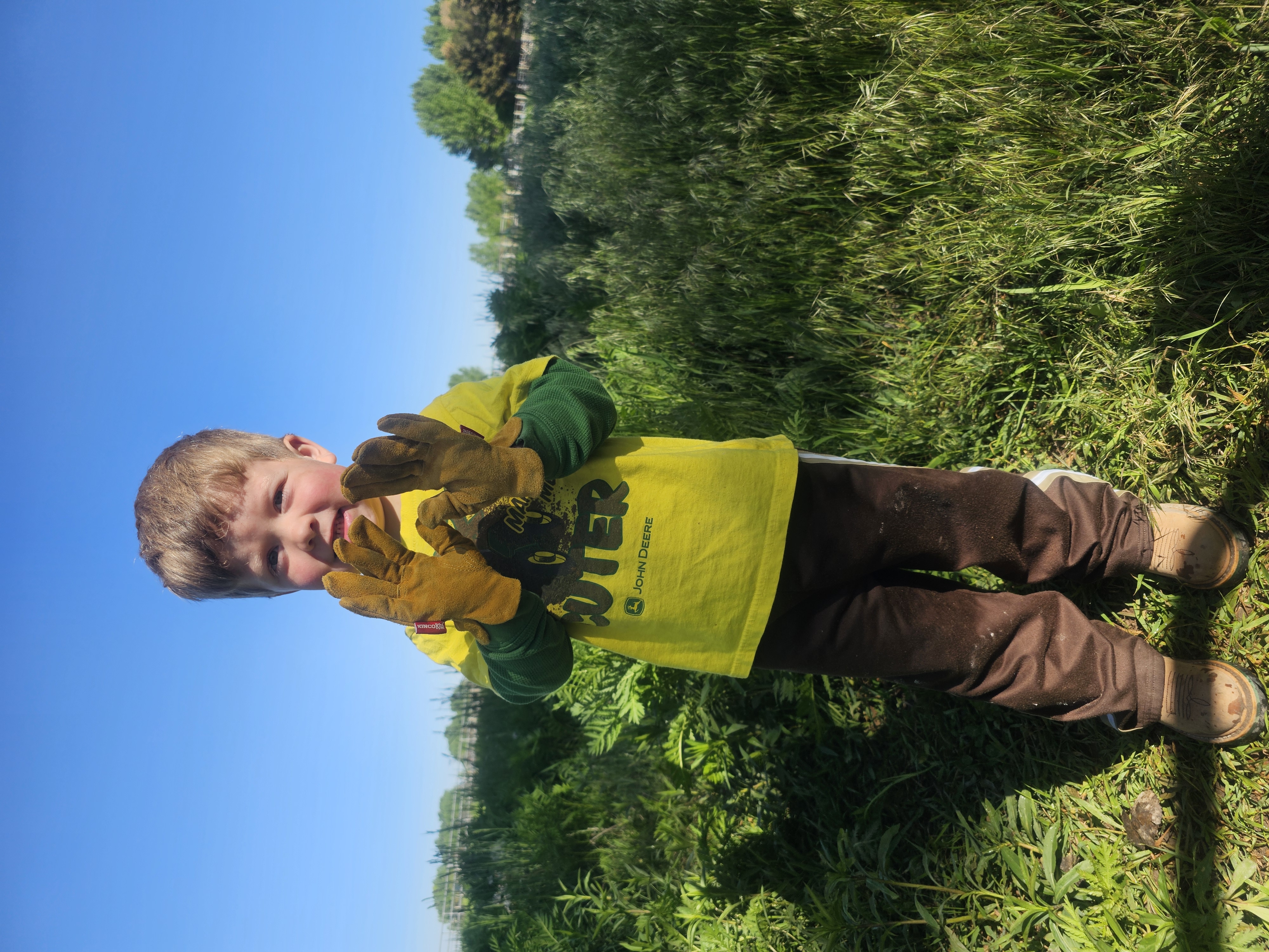 Young helper in the sod field