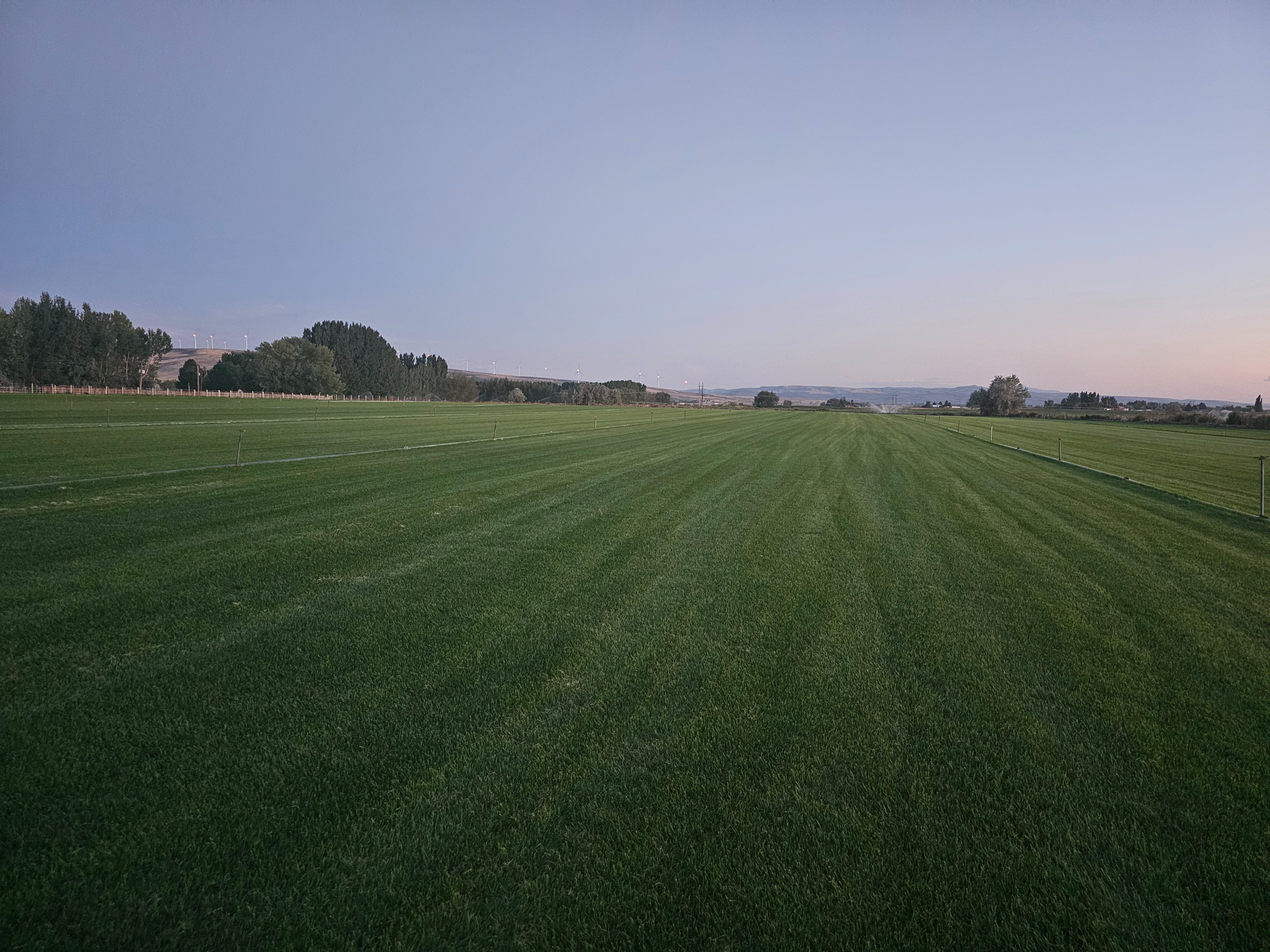 Irrigation pipes across the sod field